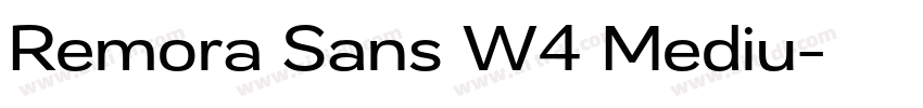 Remora Sans W4 Mediu字体转换